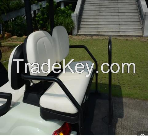 2 Passenger Cute Golf Cart With High Quality Ev Conversion Kit For Car