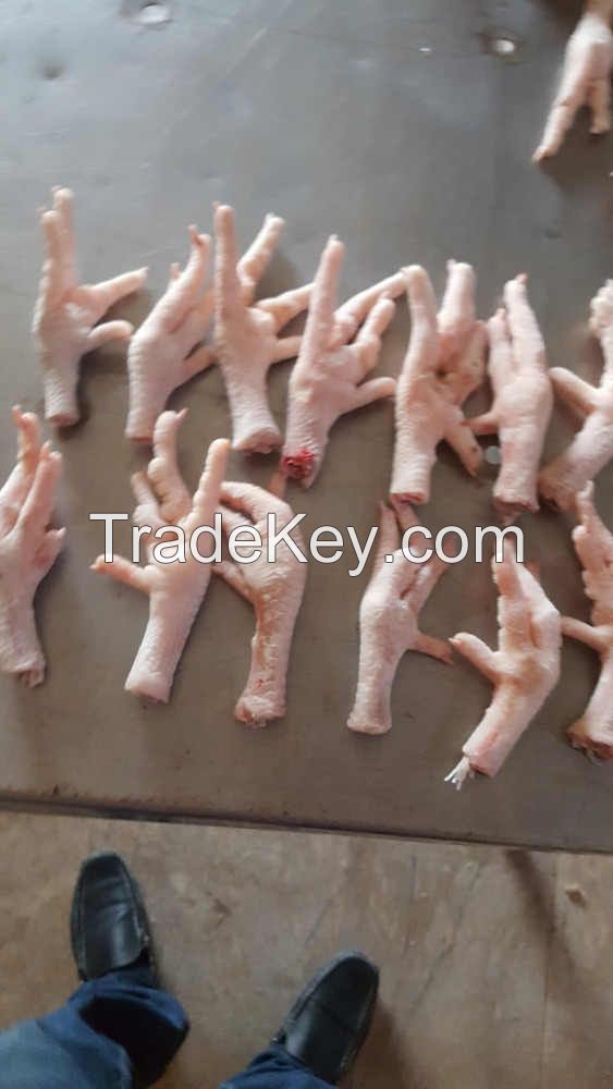 Frozen grade A chicken feet