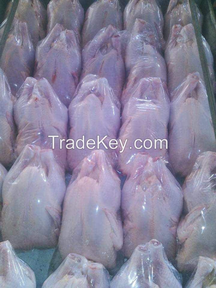 Frozen halal whole chicken