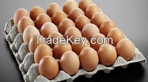 Fresh chicken brown and white eggs