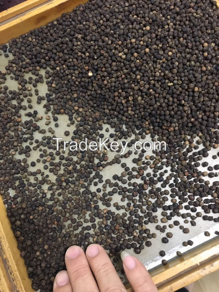 Black Pepper - FAQ/Clean - 2021 crop - Vietnam origin