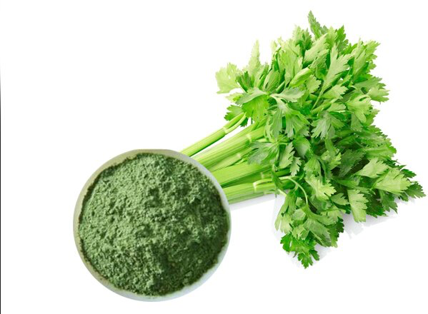 Celery powder