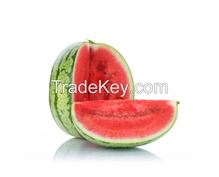 Fresh Water Melon Fast Shipping High Quality Water Melon From Turkey