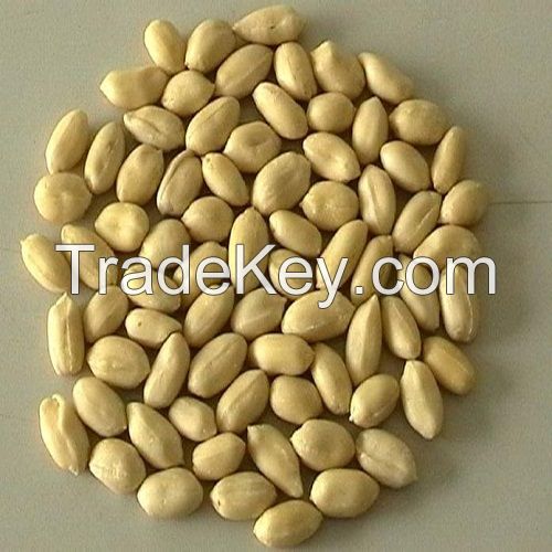 BLANCHED BOLD PEANUTS