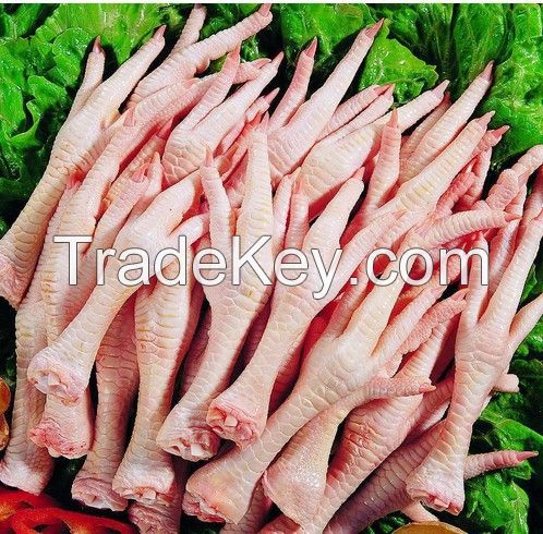 Supplier chicken paws for export - Brazil Origin