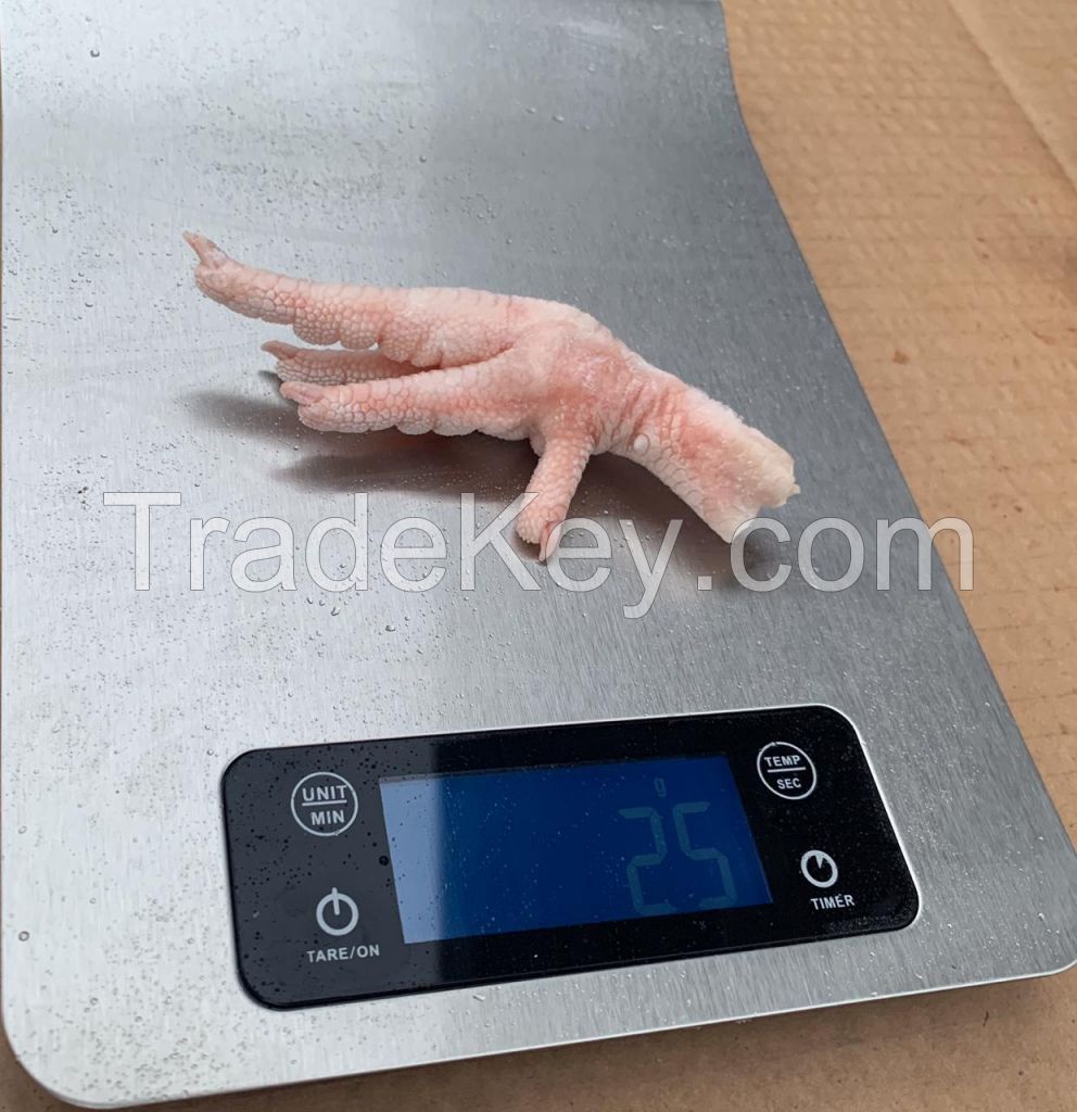 Supplier chicken paws for export - Brazil Origin