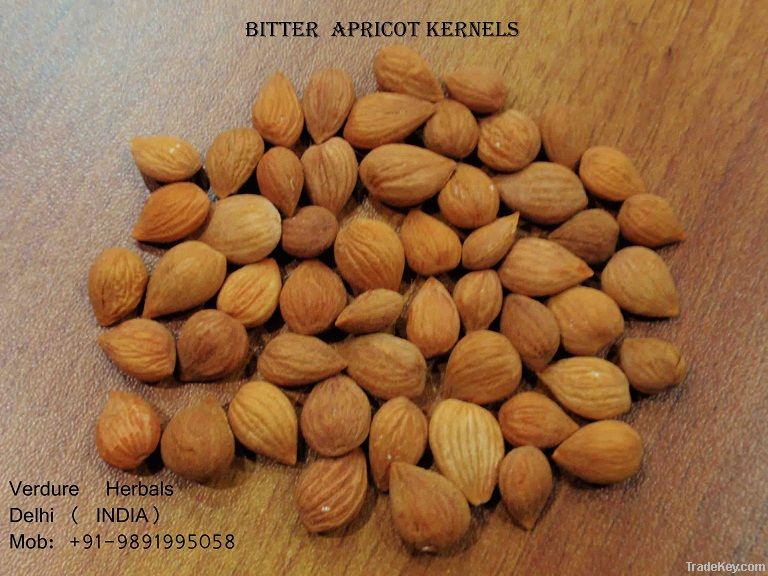 Bitter Apricot Kernels