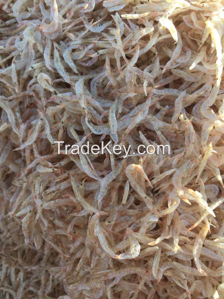 Dried Baby Shrimp 