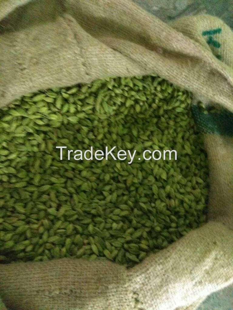 Green Cardamom Seeds