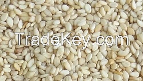 Hulled White Sesame Seed