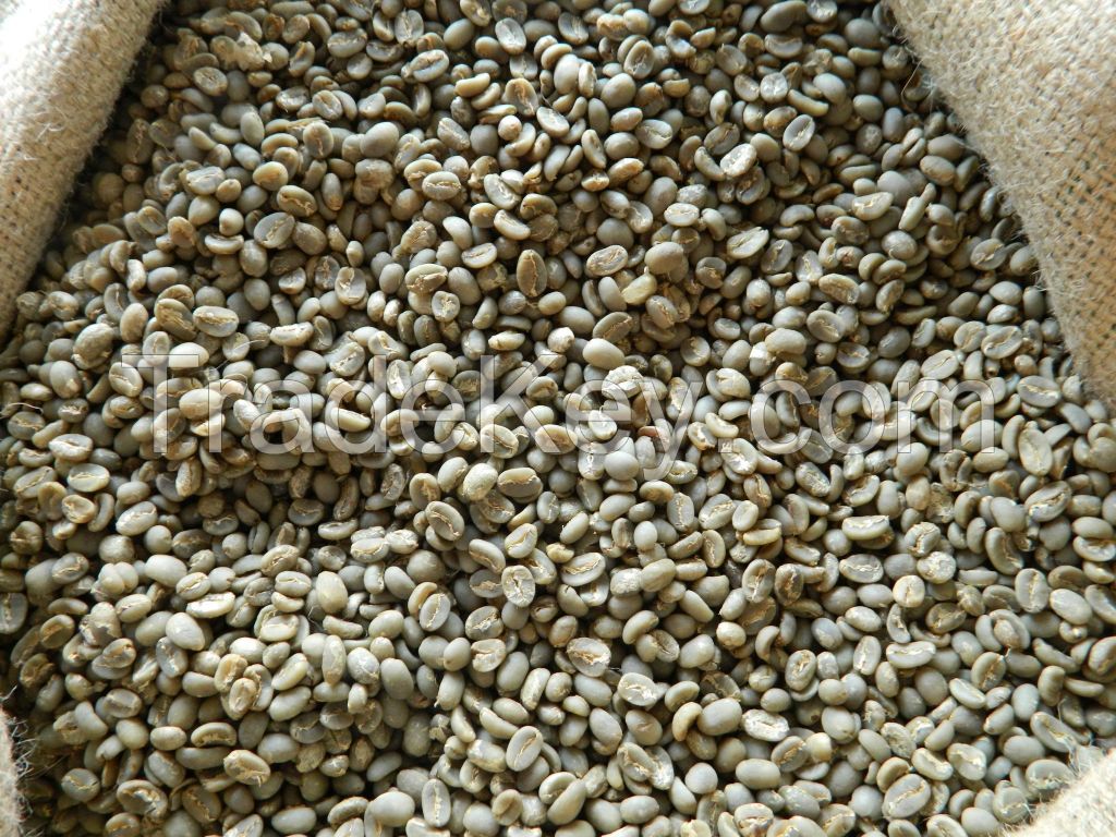 Arabica Bali Kintamani Specialty