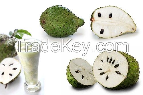 Guyabano Soursop Concentrate/Extract