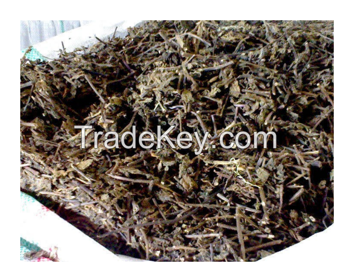 DRIED MESONA CHINENSIS/ DRIED GRASS JELLY/ GRASS JELLY LEAF STICK ( ANNIE 0084702917076 WA)