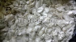 DRIED FISH SCALE FOR COLLAGEN FROM VIETNAM