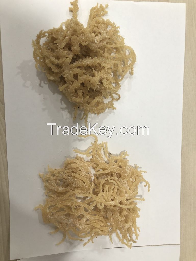 Sea Moss Irish Moss Eucheuma Cottonii Make Gel, Soap SARAH 84347587878