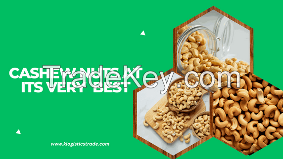 Processed Cashew Nuts 