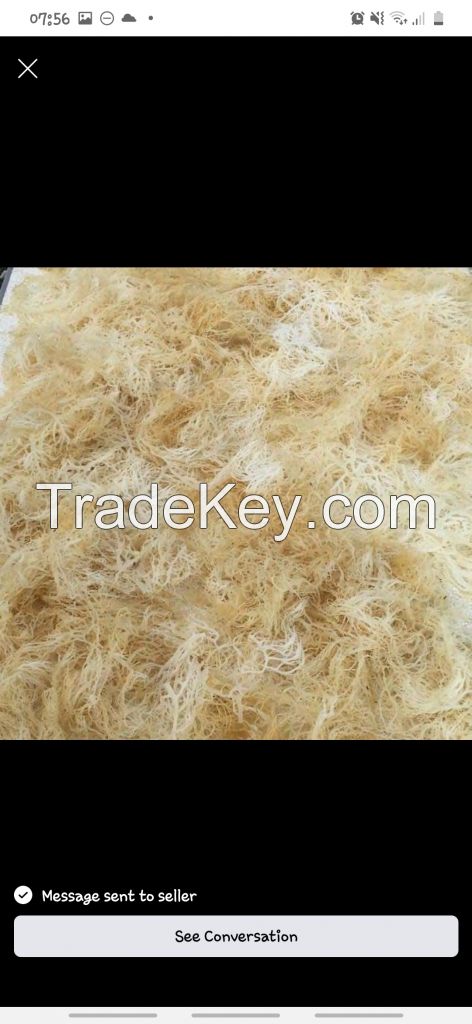 Sea moss