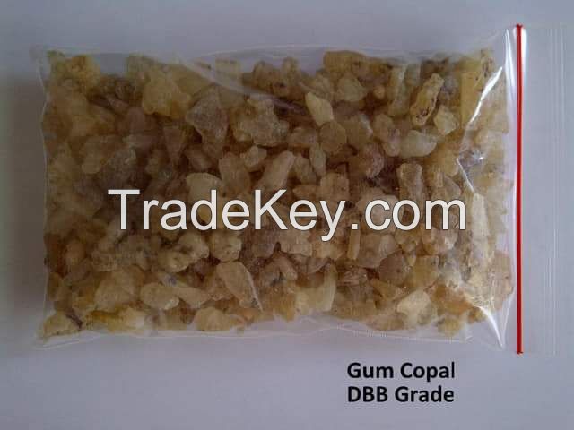 Gum Copal