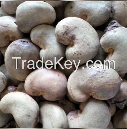  Raw Cashew Nuts