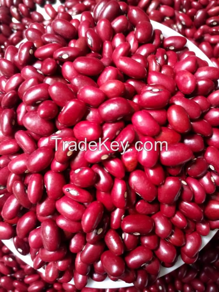 Red Kidney Beans