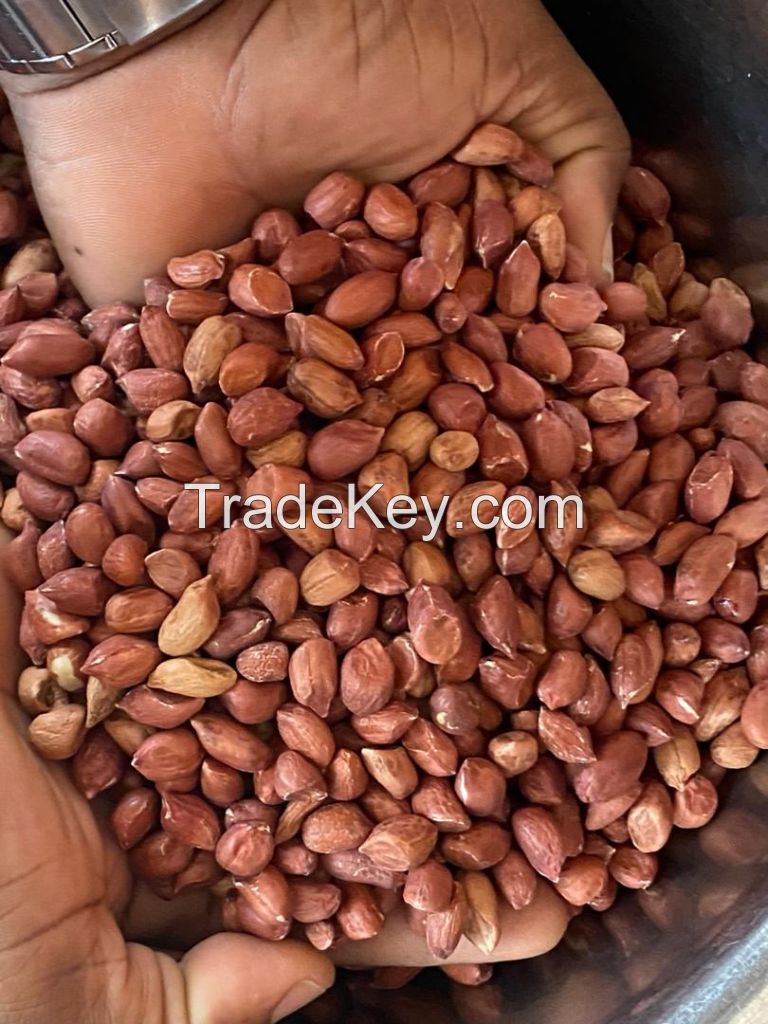 HIGH QUALITY BENIN PEANUT KERNEL