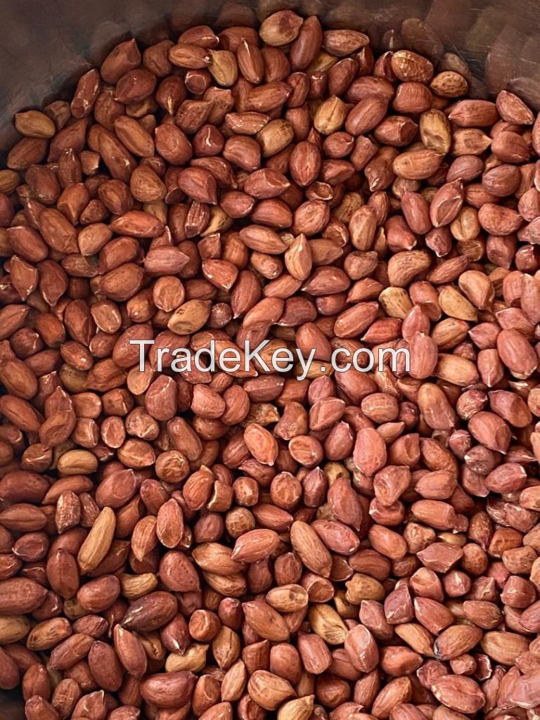 HIGH QUALITY BENIN PEANUT KERNEL