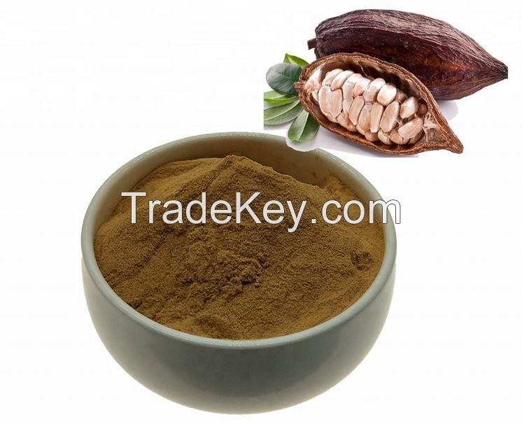 Bitter Kola | Kolanut - Powder - Extract | Best Price