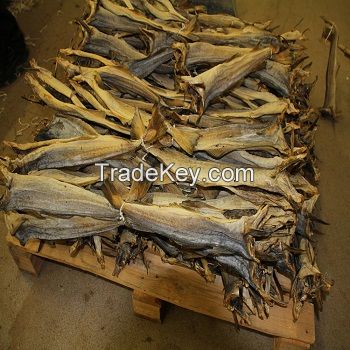 Quality Cheap Ling Lange stockfish for sell in 50/70cm,Discount price Tusk Brosme 60/80cm,Buy Boned Stockfish Bits 36 x 227g 