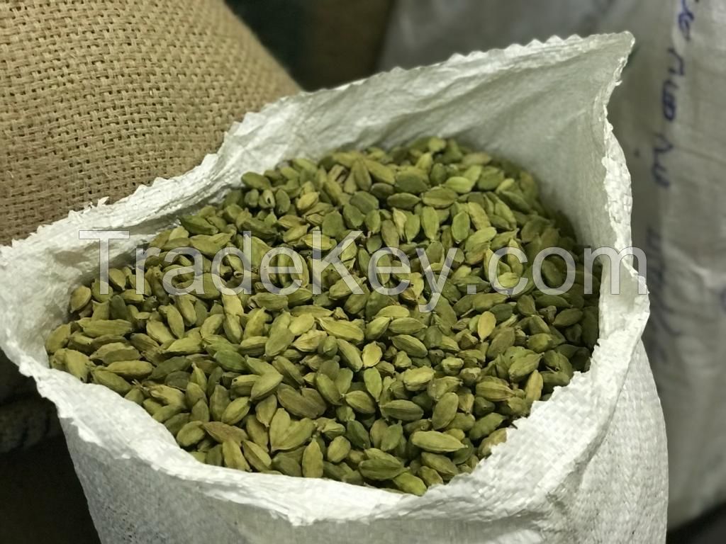 Green Cardamom