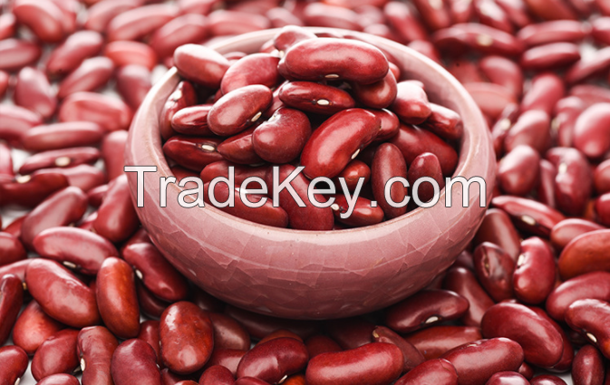 Light Speckles  Kidney Beans