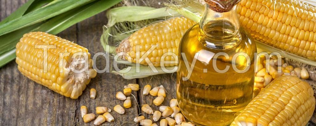 CORN OIL | MAIZE OIL 