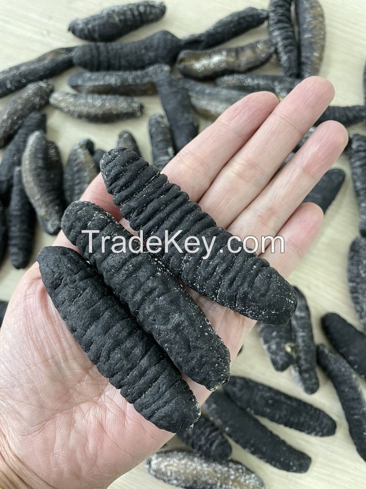 DRIED SEA CUCUMBER