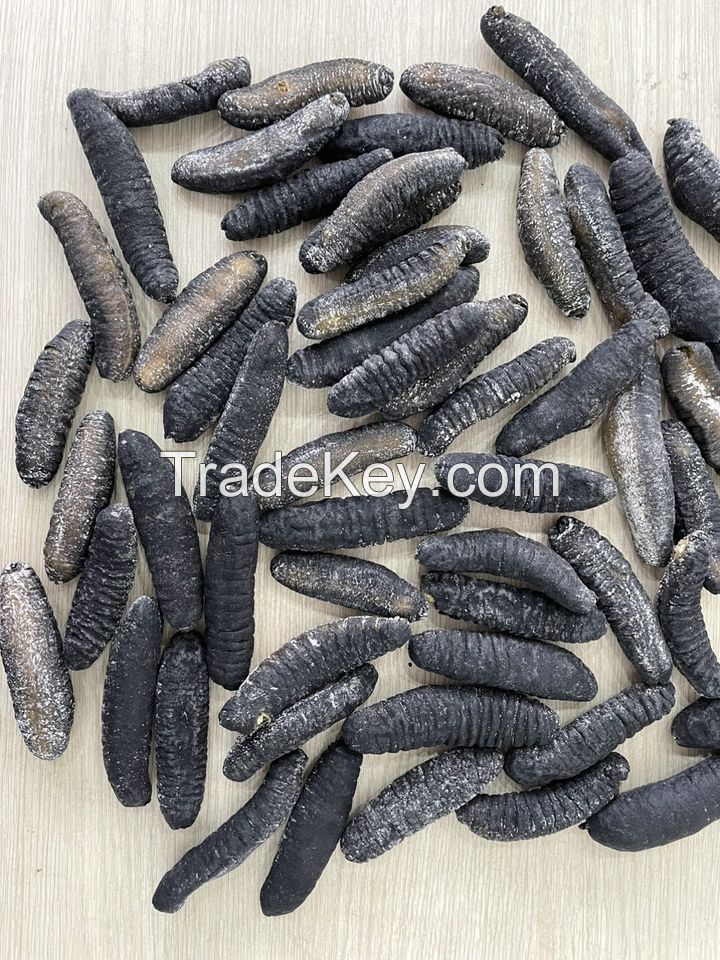 DRIED SEA CUCUMBER