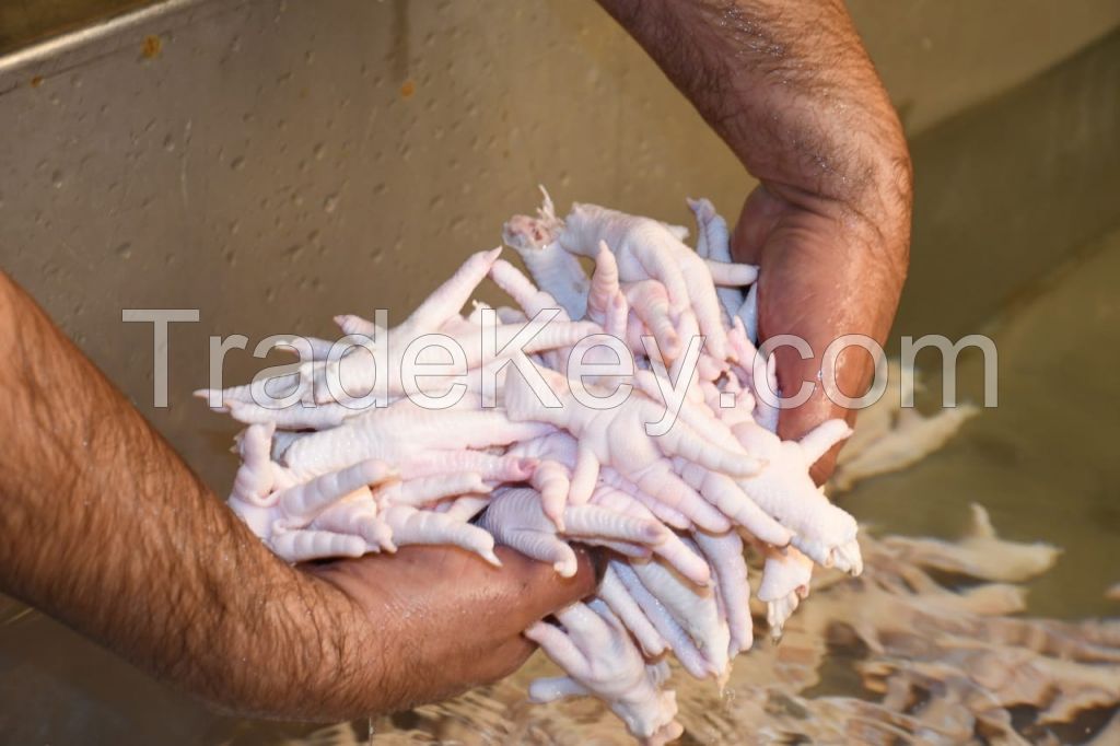 Chicken Feet, Chicken Paws