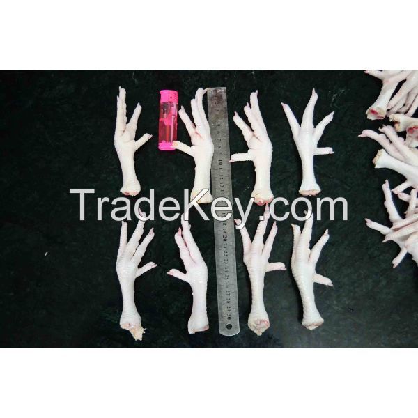 Cheap price frozen chicken feet &amp; paws for sale