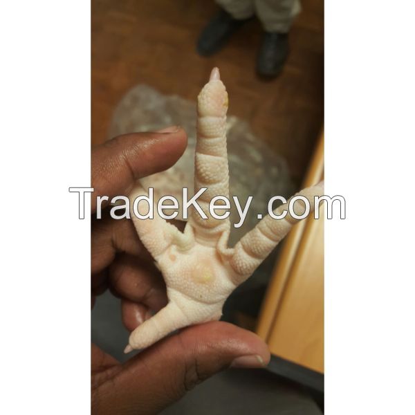 Frozen chicken feet paws - halal meat products seller