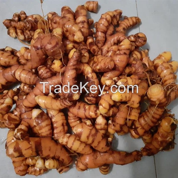 Turmeric From Indonesia