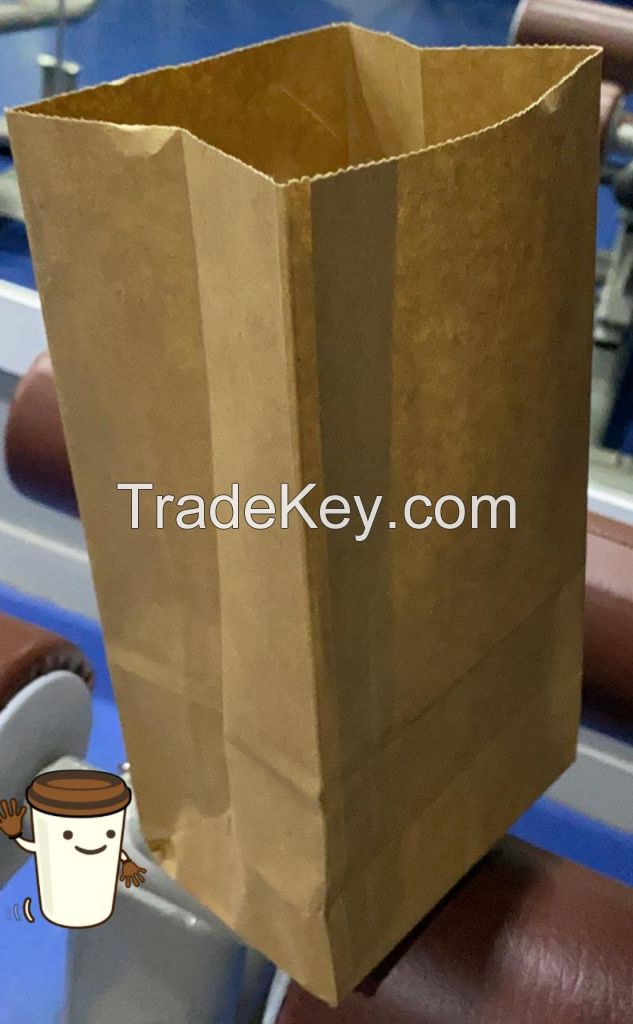 Kraft Paper bags