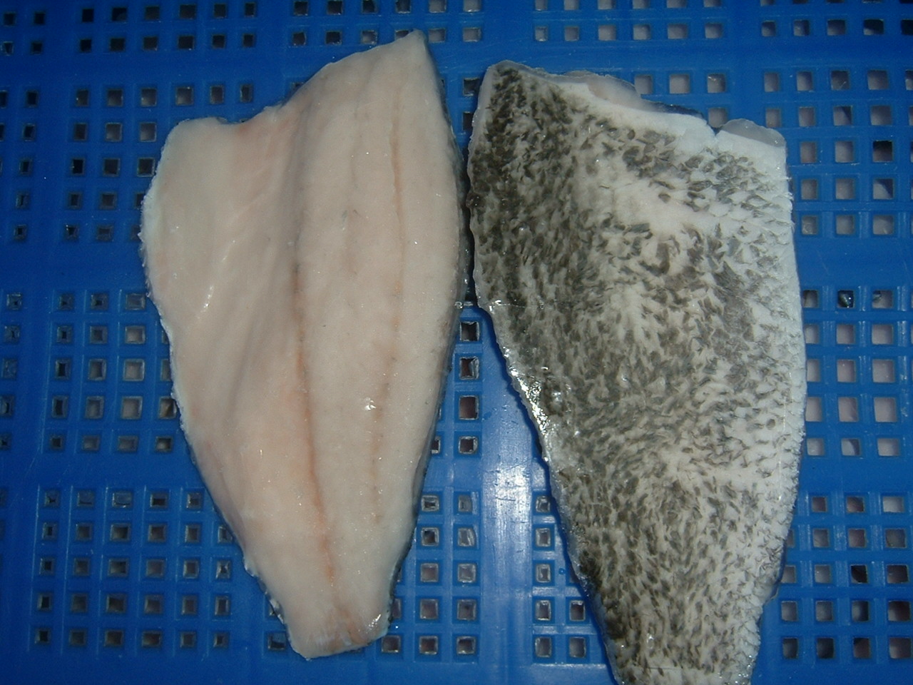 Sea Bass Fillet