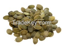 Pumpkin Seeds Karnels Roasted & Salted