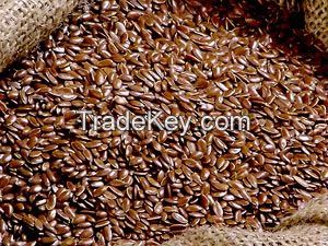 Quality Plant Seeds Sesame seeds, Flax seeds, Sunflower seeds, Jatropha seeds For Sale