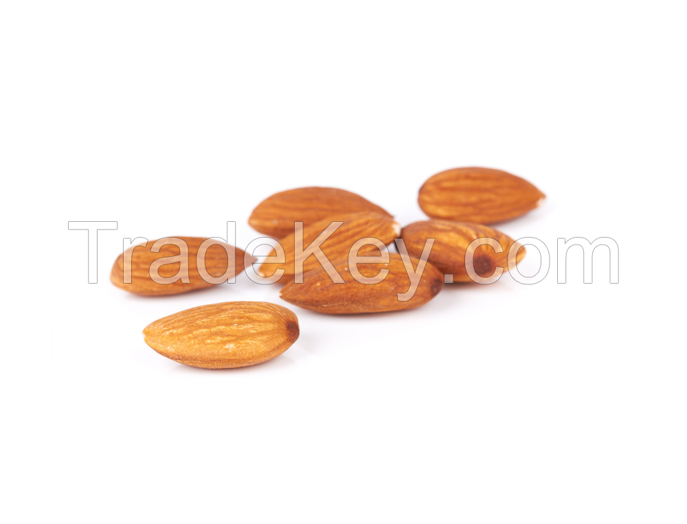 Bulk Almond nuts For Sale