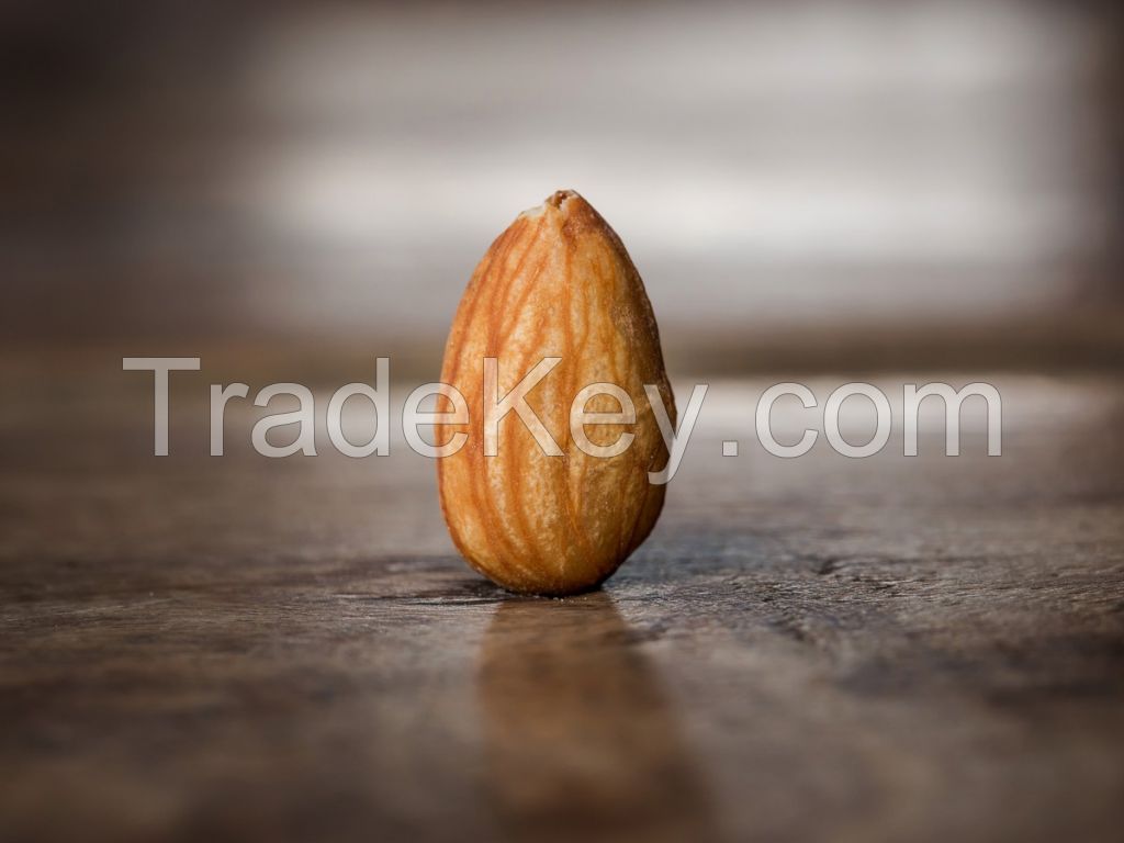 Bulk Almond nuts For Sale