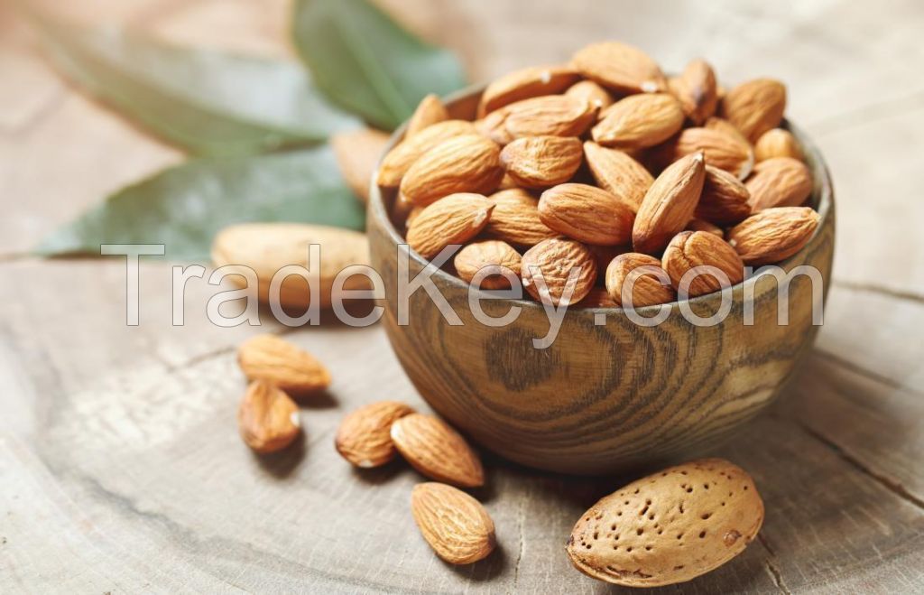 Bulk Almond nuts For Sale