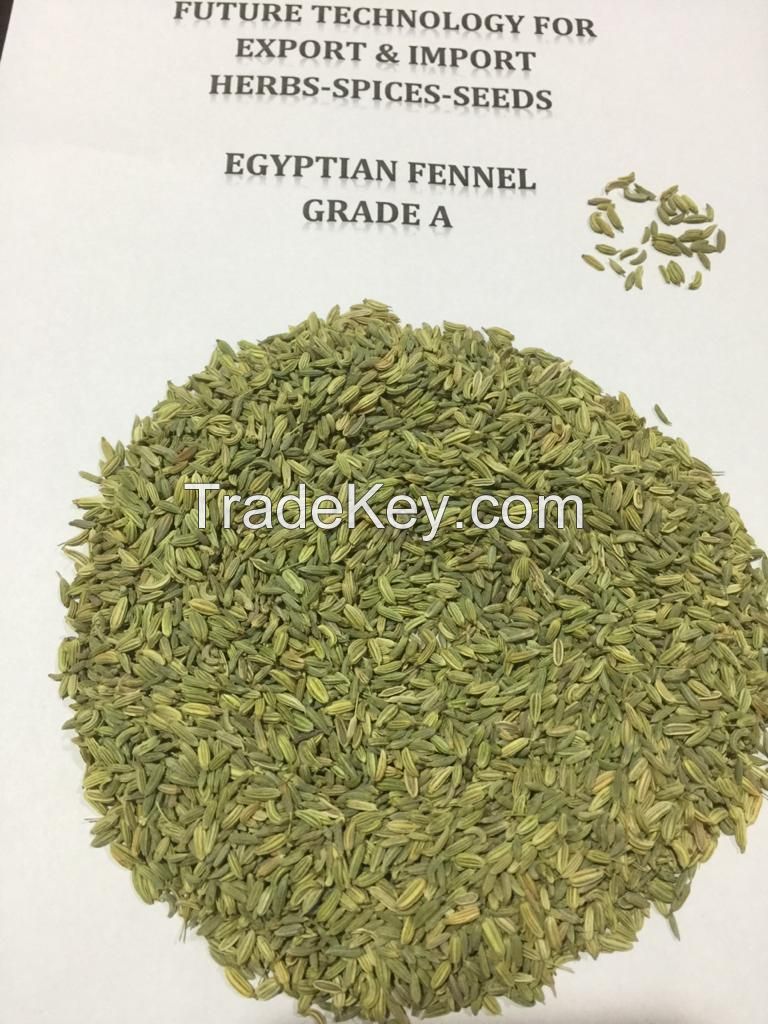 Basil, Marjoram, Oregano, Sage, Celery leaves, Spearmint, Peppermint,  Chamomile, Hibiscus, Parsley, Dill, Thyme, Senna, Bay leaves, Rosemary, Meloukhia, Calendula, Coriander leaves, Lemongrass, Black dried lemon, Yellow dried lemon.