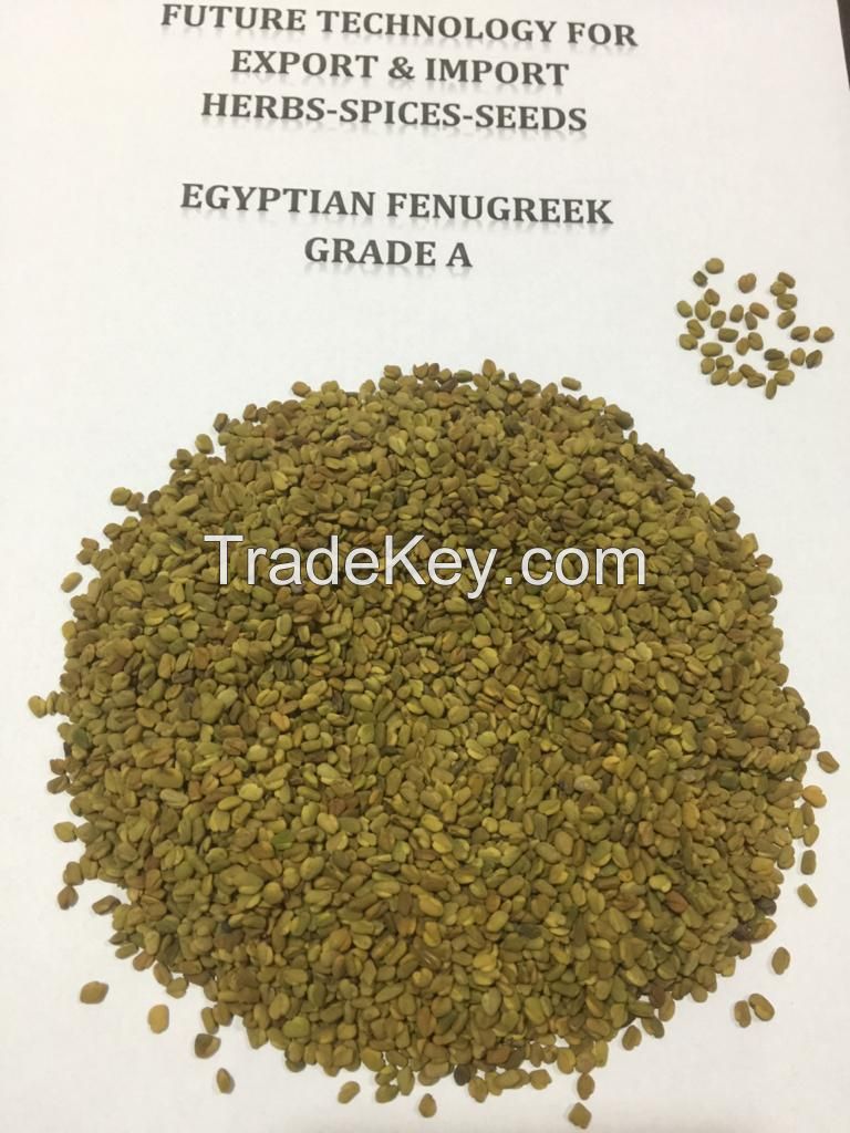 Basil, Marjoram, Oregano, Sage, Celery leaves, Spearmint, Peppermint,  Chamomile, Hibiscus, Parsley, Dill, Thyme, Senna, Bay leaves, Rosemary, Meloukhia, Calendula, Coriander leaves, Lemongrass, Black dried lemon, Yellow dried lemon.