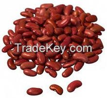 2021 New Crop Red Kidney Beans