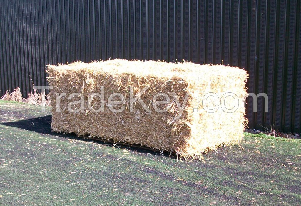 Straw Hay