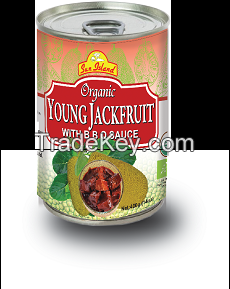 Young Jackfruit in BBQ sauce