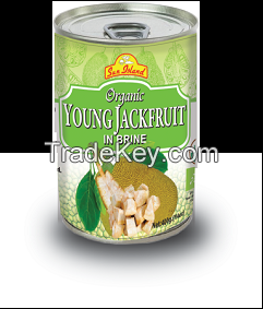 Young Jackfruit in brine